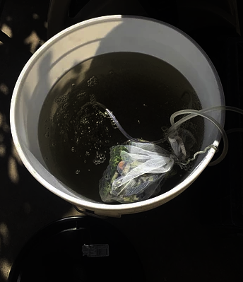 Compost Tea Recipe