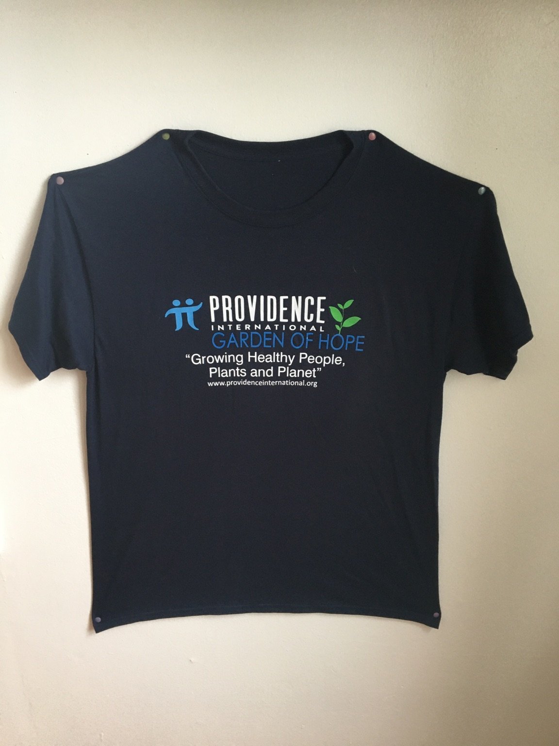 Providence International T-Shirt